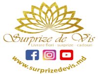 Surprize de Vis